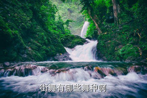 街舞有哪些舞种啊