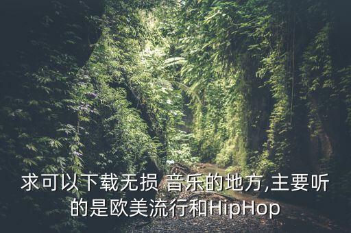 求可以下载无损 音乐的地方,主要听的是欧美流行和HipHop