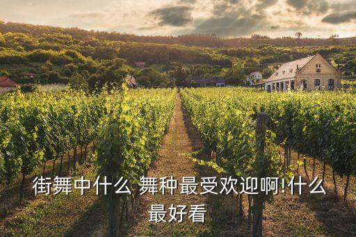 街舞中最吃香的舞种有哪些