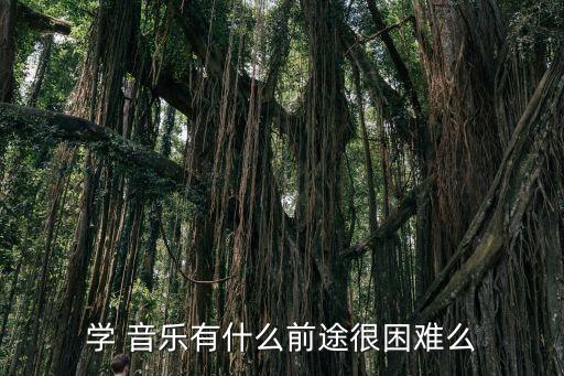 学 音乐有什么前途很困难么