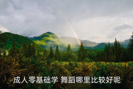  成人零基础学 舞蹈哪里比较好呢