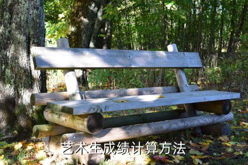 艺术生成绩计算方法