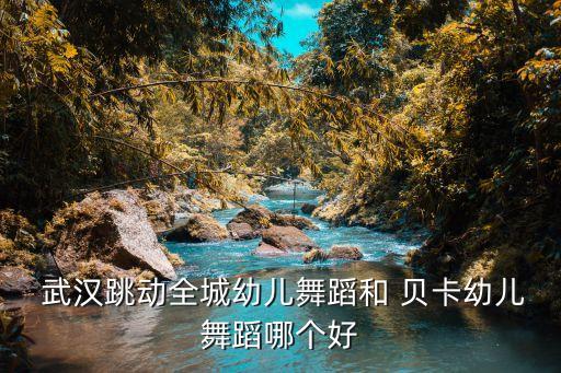 武汉贝卡dj培训
