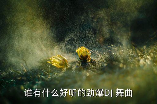 谁有什么好听的劲爆DJ 舞曲