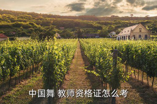中国舞 教师资格证怎么考