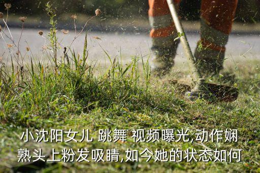 小沈阳女儿 跳舞 视频曝光,动作娴熟头上粉发吸睛,如今她的状态如何