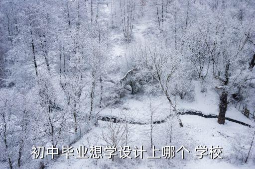 初中毕业想学设计上哪个 学校