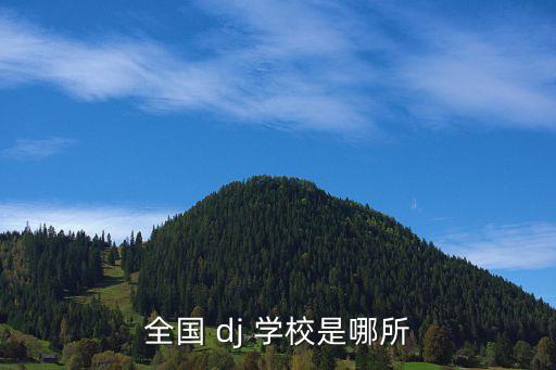 全国 dj 学校是哪所