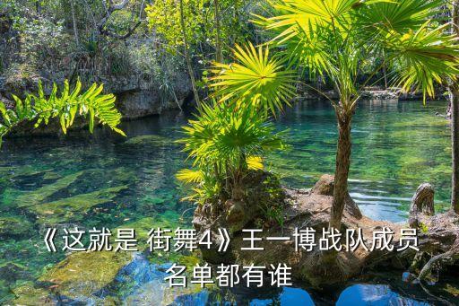 街舞四舞者名单,这就是街舞jazz舞者名单
