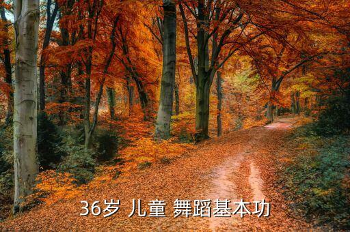 36岁 儿童 舞蹈基本功
