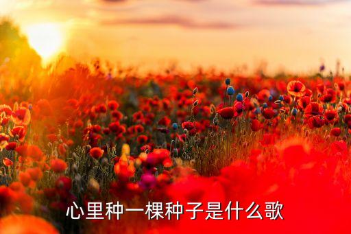 心里种一棵种子是什么歌