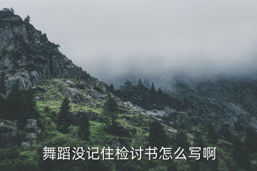  舞蹈没记住检讨书怎么写啊