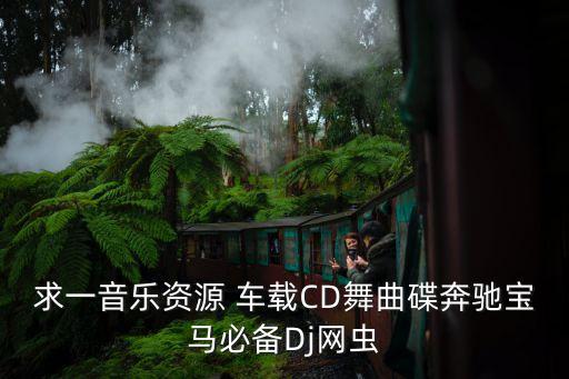 求一音乐资源 车载CD舞曲碟奔驰宝马必备Dj网虫