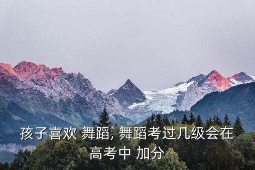 孩子喜欢 舞蹈, 舞蹈考过几级会在高考中 加分
