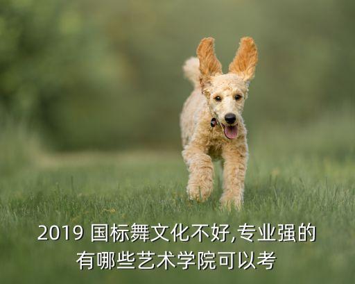 2019 国标舞文化不好,专业强的有哪些艺术学院可以考