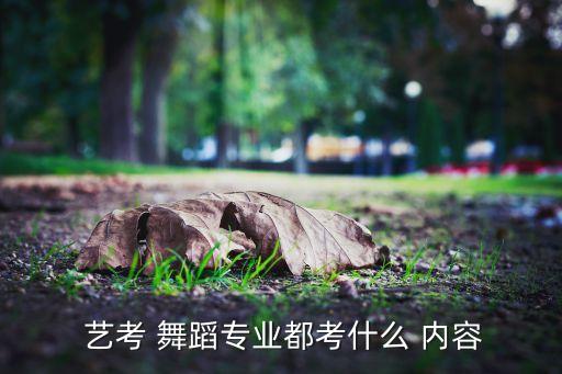 舞蹈艺考有哪些舞种名称和内容,艺考舞蹈考哪些舞种