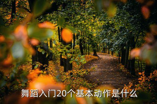  舞蹈入门20个基本动作是什么
