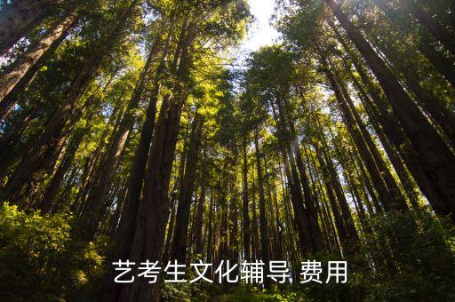 艺考培训费用一般多少,舞蹈艺考培训费用大概多少钱啊