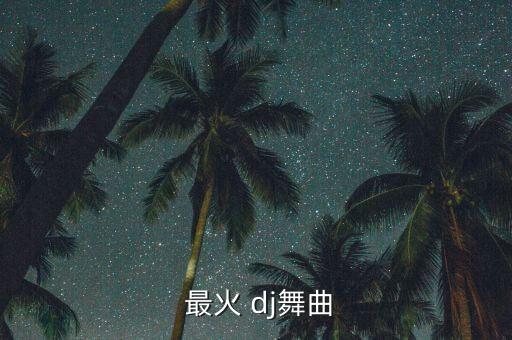  最火 dj舞曲