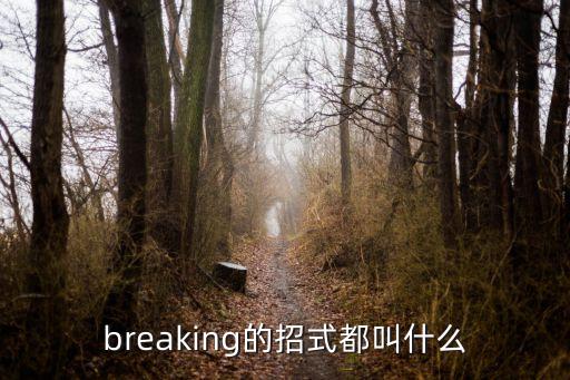 breaking的招式都叫什么