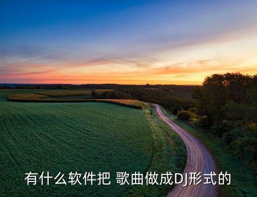 有什么软件把 歌曲做成DJ形式的