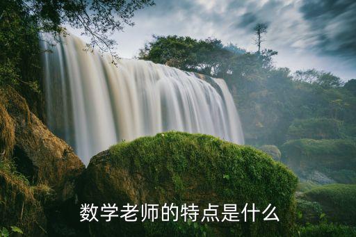  数学老师的特点是什么