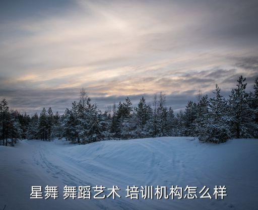青少年舞蹈培训中心,那些花儿舞蹈培训中心