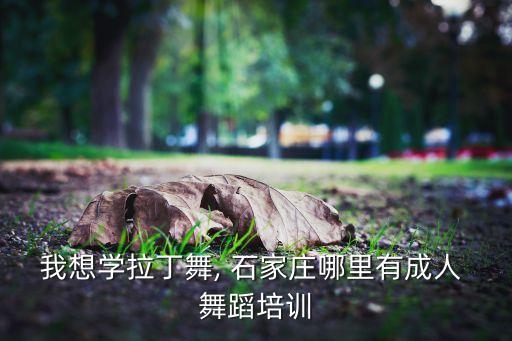 我想学拉丁舞, 石家庄哪里有成人 舞蹈培训