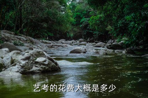  艺考的花费大概是多少
