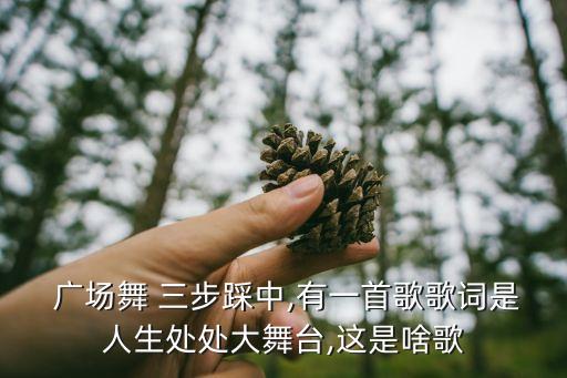  广场舞 三步踩中,有一首歌歌词是人生处处大舞台,这是啥歌