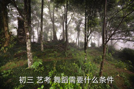 艺考舞蹈学校校规,舞蹈艺考230分能上什么学校