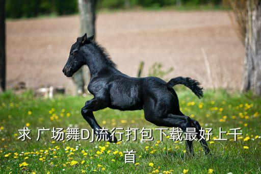 求 广场舞DJ流行打包下载最好上千首