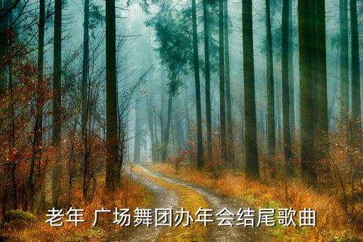 老年 广场舞团办年会结尾歌曲