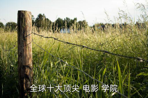 电影学院世界排名,查普曼大学道奇电影学院世界排名