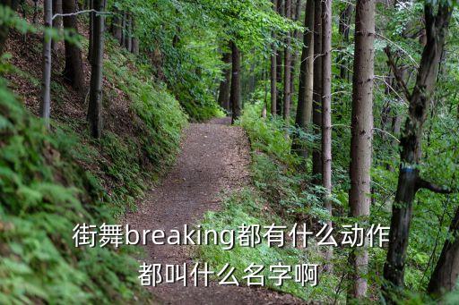  街舞breaking都有什么动作都叫什么名字啊