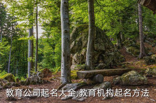 教育公司起名大全,教育机构起名方法