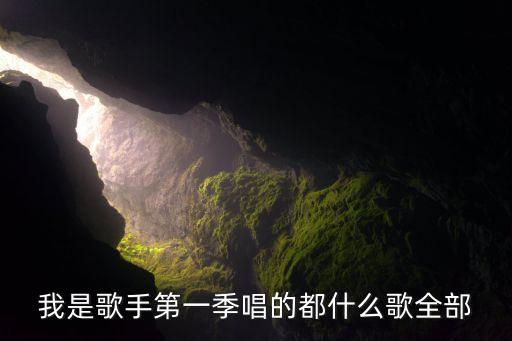 我是歌手第一季唱的都什么歌全部