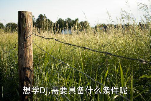 想学DJ,需要具备什么条件呢