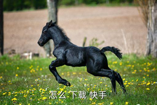 怎么 下载 快手