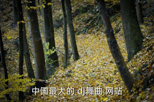 中国最大的 dj舞曲 网站