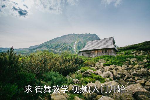 求 街舞教学 视频(入门开始