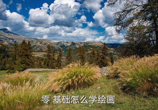 零 基础怎么学绘画