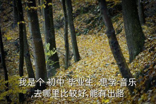 我是个 初中 毕业生, 想学 音乐,去哪里比较好,能有出路