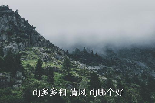  dj多多和 清风 dj哪个好