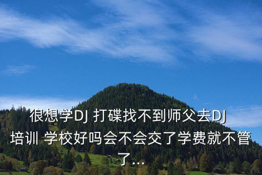 很想学DJ 打碟找不到师父去DJ 培训 学校好吗会不会交了学费就不管了...