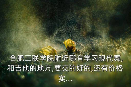  合肥三联学院附近哪有学习现代舞,和吉他的地方,要交的好的,还有价格实...
