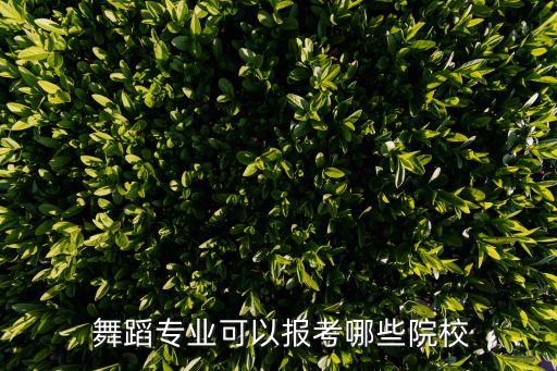  舞蹈专业可以报考哪些院校