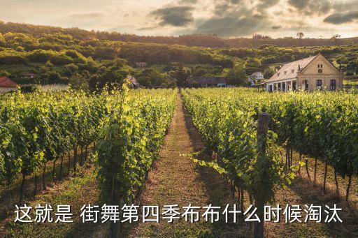 这就是 街舞第四季布布什么时候淘汰