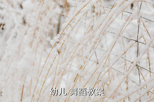 舞蹈特色课程目标,学前教育专业舞蹈课程目标