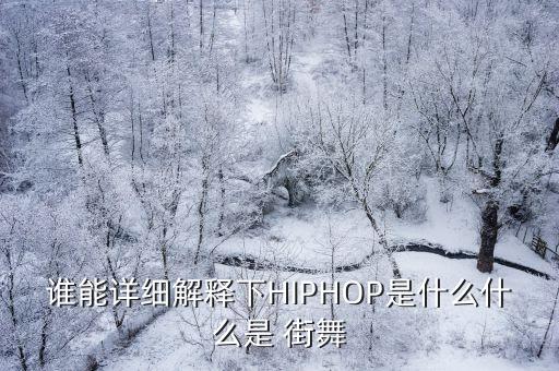 谁能详细解释下HIPHOP是什么什么是 街舞